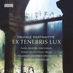 MARTINAITYTÉ: Ex Tenebris Lux.