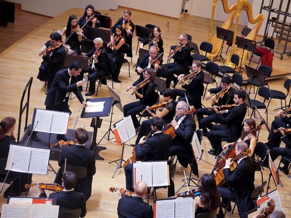 Crítica / Sólido sonido orquestal - por José Antonio Cantón