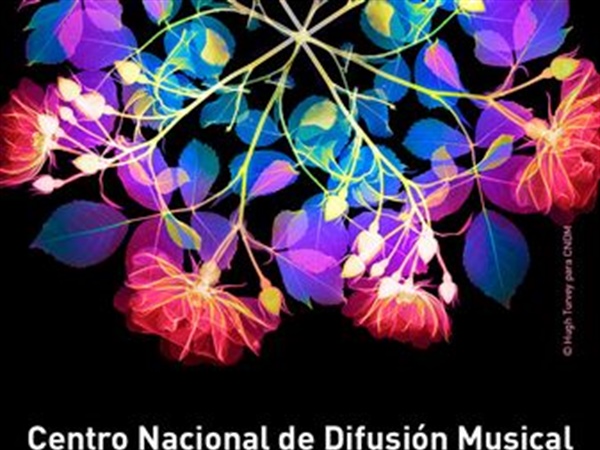 El CNDM presenta su primera serie de micro-conciertos en directo en Instagram