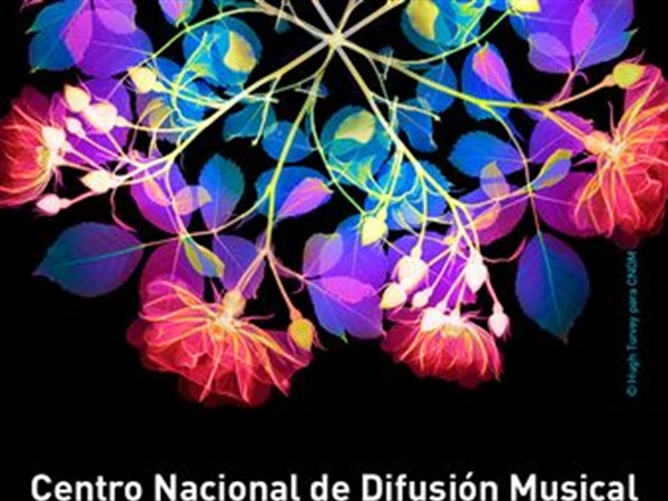El CNDM amplía su programación digital con un segundo ciclo de micro-conciertos en Instagram
