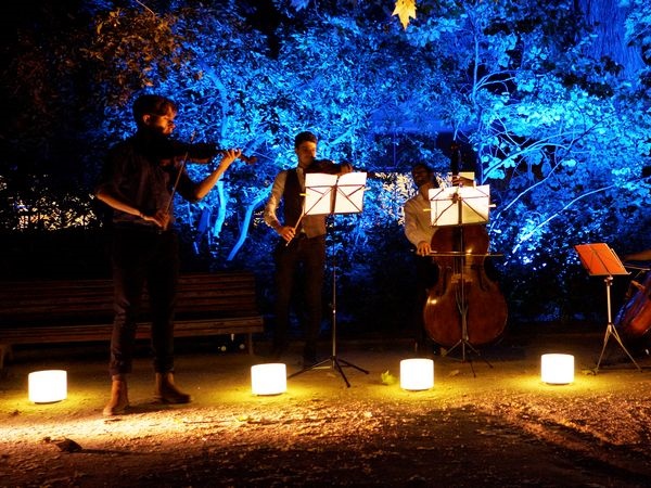 Los paseos musicales del Real Jardín Botánico: una experiencia única