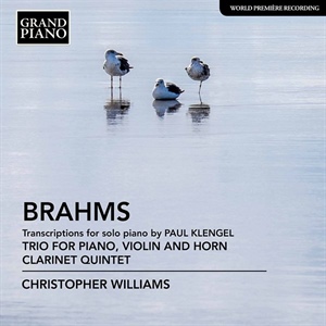 BRAHMS: Trío para piano, violín y trompa. Quinteto para clarinete 